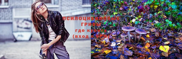 MDMA Михайловка