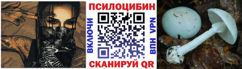 Псилоцибиновые грибы GOLDEN TEACHER  как найти   Новомосковск 