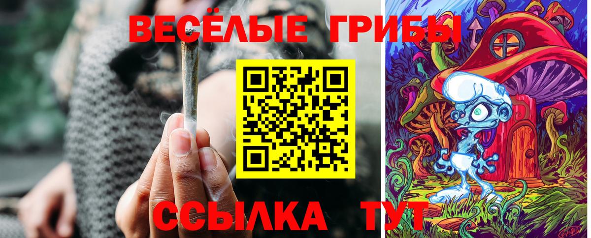 Новомосковск  Галлюциногенные грибы мицелий  Вход с VPN 