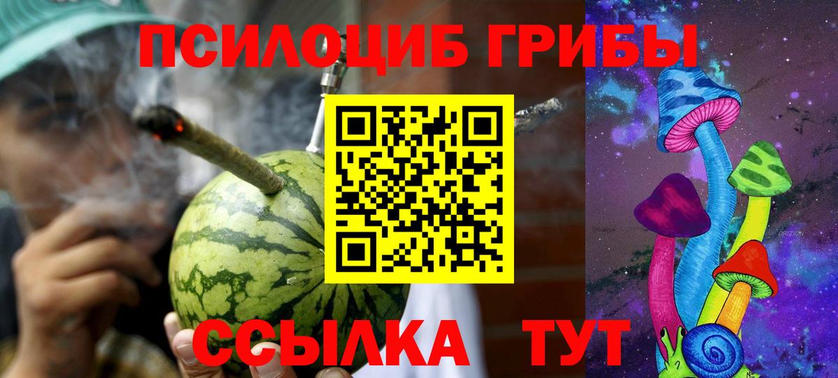 Галлюциногенные грибы Psilocybine cubensis  купить наркотики сайты  Новомосковск 